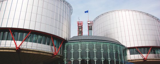 «Завалить количеством»: юристы о кампании по жалобам в ЕСПЧ на «митинговые» задержания